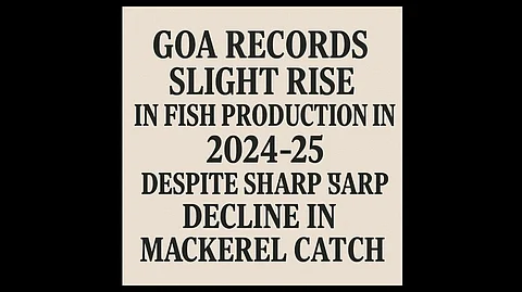 Goa Records Slight Rise in Fish Production in 2024-25 Despite Sharp Decline in Mackerel Catch