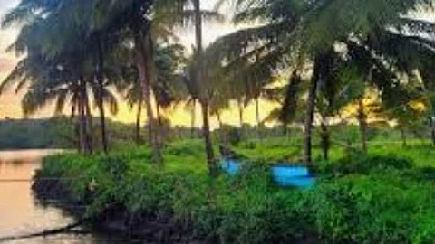 Experts Slam Goa's New Escheats Act for Lack of Clarity on Property Without Heirs