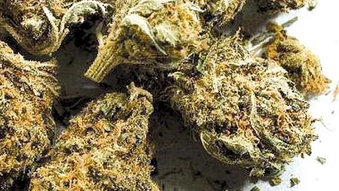 Verna Police Seize 2.2 Kg Ganja Worth ₹2.21 Lakh, Arrest 28-Year-Old Madhya Pradesh Native
