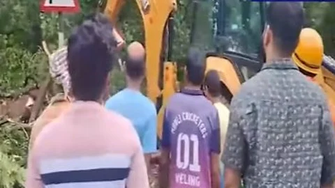 Giant Tree Falls on Mardol Bypass, Injuring Two and Damaging Vehicles