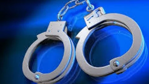 Rottweiler Attacks Senior Citizen in Candolim; Calangute Police Book Dog Owner for Negligence