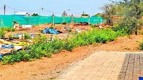 Activist to move NGT over tourism dept’s turtle site plan