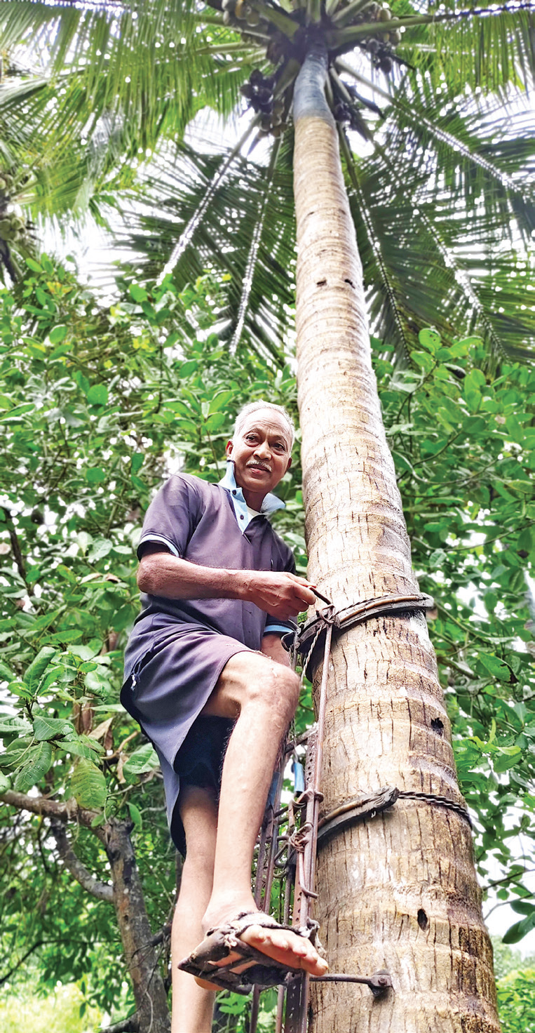 Antonio Fernandes: A life rooted in soil, strength and tradition