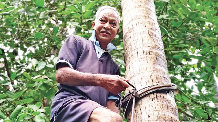 Meet Antonio Fernandes: The 74-Year-Old Farmer Upholding Goa’s Agrarian Legacy