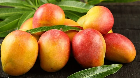 Goa History: Goa’s Mango Traditions; A Juicy Legacy of Culture, Cuisine & Childhood Nostalgia