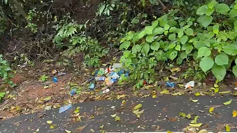 Neglect Turns Bamanbudo Waterfall Into Health Hazard: Overflowing Garbage, Poor Maintenance Alarming Visitors