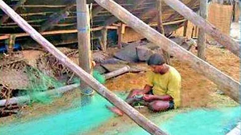 NGT Quashes GCZMA Demolition Order, Grants Relief to Traditional Fisherfolk in Nerul