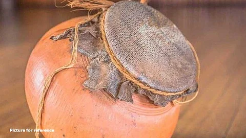 Mapusa Man Arrested with 47 Monitor Lizard Skins, 14 Ghumats in Forest Dept Raid