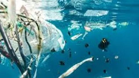 Marine litter hits Goa hard