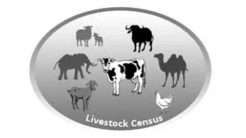 Goa’s Livestock Census Reveals 86,976 Dogs, 10 Elephants, 2 Camels — and Just 1 Mule