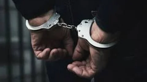 Father-Son Duo From Delhi Arrested for Assaulting Morjim Panchayat Secretary During RTI Hearing in Pernem
