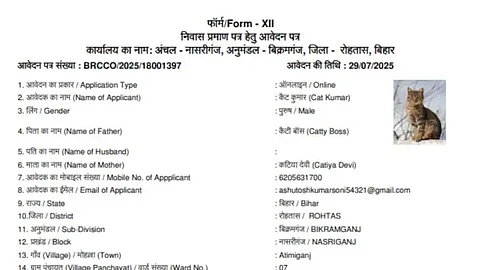After ‘Dog Babu’ and ‘Sonalika Tractor’, ‘Cat Kumar’ joins Bihar’s resident list