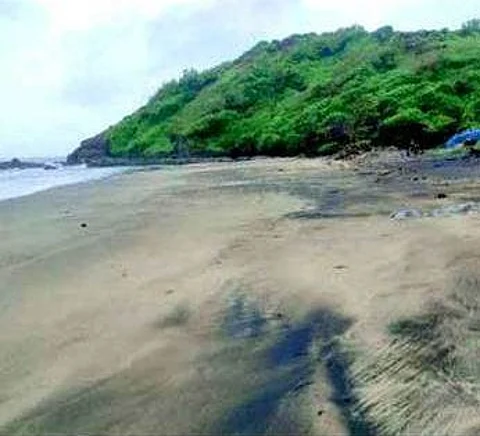 Vagator’s Dream Beach still a nightmare for Olive Ridley turtles