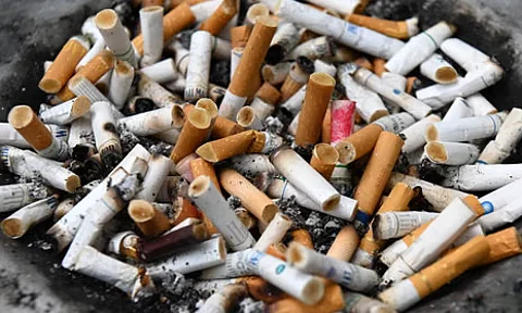 Stakeholders unite in the battle against tobacco