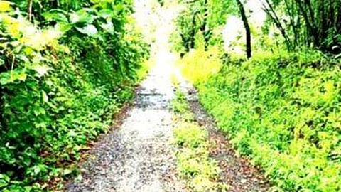 Aldona Residents Demand Urgent Repair of Neglected Naikawaddo Internal Road