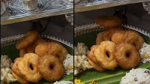 Viral Video: Mouse Snatches Vada During Ganesh Pooja, Netizens Chant ‘Ganpati Bappa Morya’
