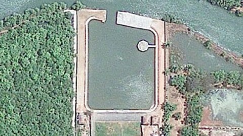 HC Told Marna-Siolim Land Once Lagoon and Mangrove Wetland, Orders GCZMA to Restore Site