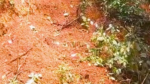 Landslide Reported in Chirputem, Priol After Cable Trenching; Residents Urge Action