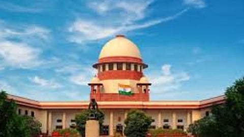 Supreme Court Orders Status Quo on Goa Tiger Reserve Proposal, Seeks CEC Report