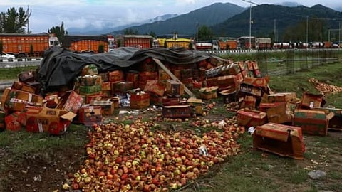 Kashmir Apple Farmers Suffer Heavy Losses as Trucks Rot on Blocked Srinagar-Jammu Highway