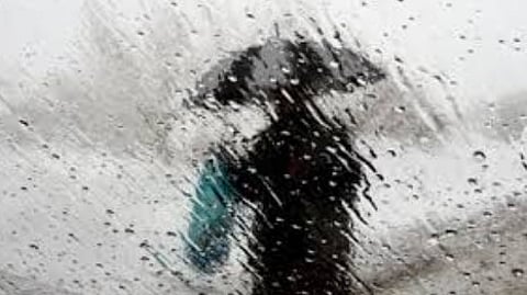 Ahmedabad Tourist Harassed by Goa Taxi Operators in Betalbatim; Forced to Walk in Rain Amid App-Cab Blockade