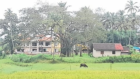 Colva Villagers Protest Villas in Fishing Ward as GCZMA, Panchayat Face Flak Over Contradictory NOCs