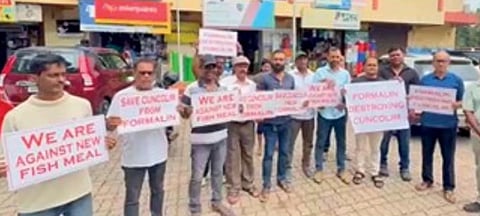 Cuncolim fish meal row deepens as councillor alleges minister’s backing