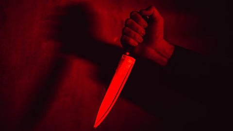 Vasco Woman Stabbed to Death in Her Flat; Accused Arrested by Mormugao Police