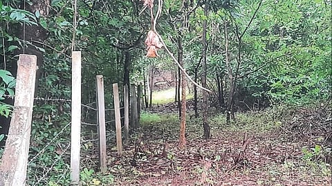 Arambol Villagers Protest Fencing of Private Forest in Bhatwadi, Fear Threat to Wildlife and Livelihoods
