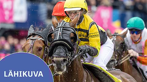 Elina Pakkanen ja J.J.Dragon olivat mukana Montéelitenissä Solvallassa. Parivaljakko sijoittui upeasti neljänneksi tuloksella 11,3aly.