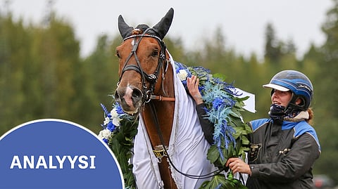 Weikko juoksi kolmevuotiaana SE-tuloksen 26,2a/2100 metriä. Tänä vuonna Weikko saavutti tähänastisen uransa suurimman saavutuksen, kun se voitti 5-vuotiaiden Derbyn. Kuvassa Weikon kanssa Suomessa sitä hoitava Armi Mattinen.