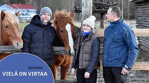 Josveisista on muodostunut koko Korvenkylän yhteinen hevonen. Kuvassa Antti Pylkkäsen lisäksi ruunan nykyiseen taustatiimiin kuuluvat Henna Huovinen ja Elmo Niskasaari.