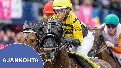 Elina Pakkanen ja J.J.Dragon olivat mukana Montéelitenissä Solvallassa. Parivaljakko sijoittui upeasti neljänneksi tuloksella 11,3aly.