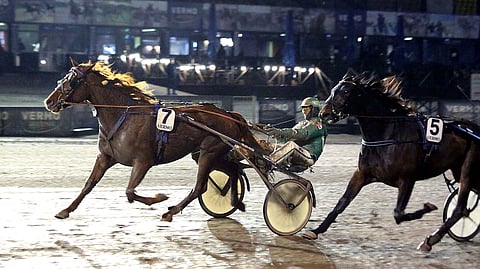 Starcio, Ari Moilanen