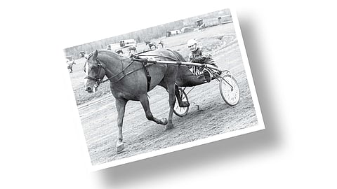 Ketkä ovatkaan kuvassa?