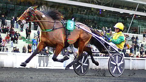 Face Time Bourbon siitosori