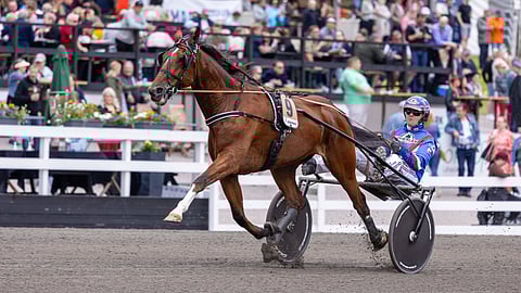 Kovaluokkainen American Cooper on voittanut urallaan 18 kertaa.