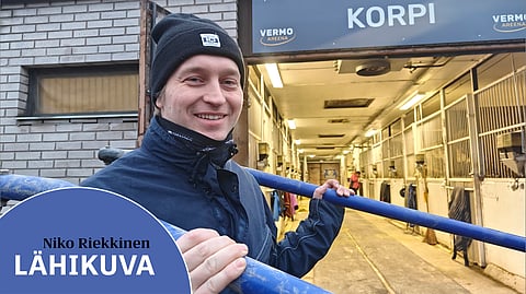 Niko Riekkinen työskenteli aiemmin viisi ja puoli vuotta Pekka Korven tallilla hevosenhoitajana. Nykyisin hän toimii ajomiehen roolissa.