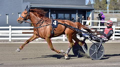 Combat Fighter ja Santtu Raitala
