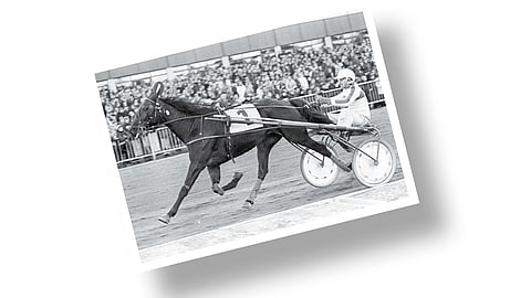 Kuva-arvoitus: Tiedä tai arvaa mikä parivaljakko?