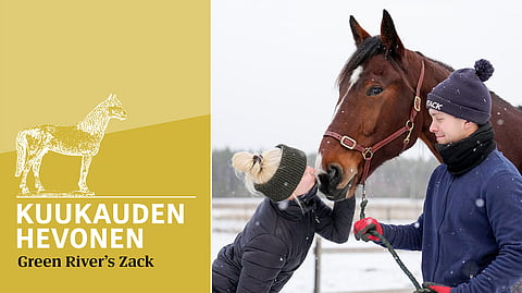 Heta Huuskola ja Riku Lehtonen kuukauden hevosen Green River’s Zackin kanssa.