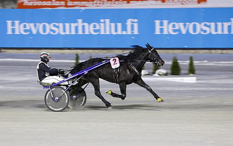 Need’em on startannut kolmessa edellisessä Suomen-startissaan numerolla kaksi. Näin tapahtuu myös tulevana lauantaina.