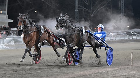 High On Pepper 8 ja Karat River 7