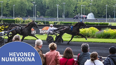 Christophe Martens ohjasti King Colen keväällä 2024 Vincennesissä Prix Mutus’n voittoon. Tili karttui 26 550 eurolla.
