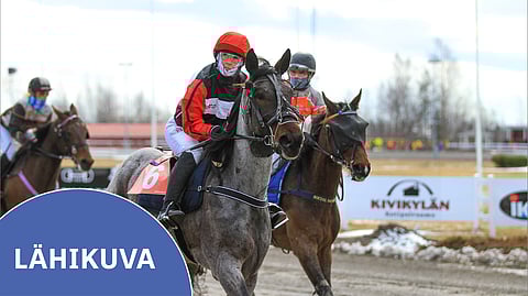 Seija Myllyharjun ohjastama Redhot Tap Dancer oli mukana 9. huhtikuuta 2022 montén SM-karsinnassa Porissa. Samana keväänä ratsukko sijoittui hienosti Prix Monté Finlandian kakkoseksi. Monté-voitto jäi kuitenkin ottamatta.