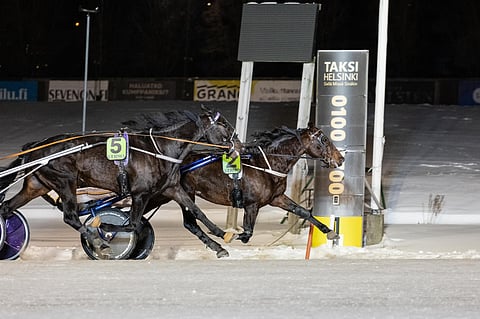 Jonas Halbak vastasi voittomatsissa Napoleon Cashille.