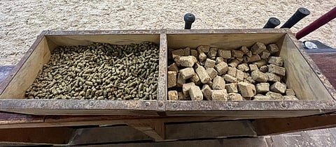 Boen maneesin reunalla on "superpähkinä"-laatikko, kuten Hagelstam kovassa käytössä olevaa lootaa kutsuu.