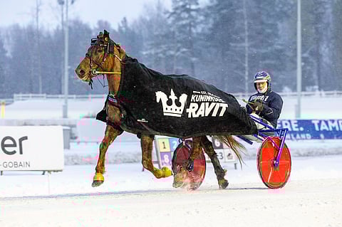 Kari Lehtosen valmentama Rallan Ruhtinas on napsinut jatkuvasti totosijoja talvikauden aikana. Lauantaina ruuna havittelee paluuta voittokantaan kotiradallaan.