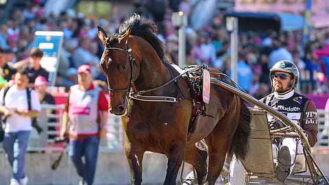 Prix de Paris Vincennes