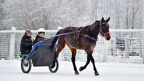Hevosella ajaminen aloitetaan ravikoulussa koppakärryillä.